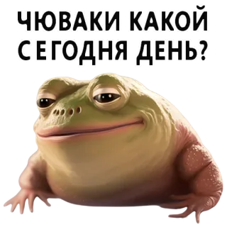 🐸 83ac1d17 ЧЮВАКИ КАКОЙ СЕГОДНЯ ДЕНЬ? лягушка, мем, вопрос, день, смешной telegram sticker