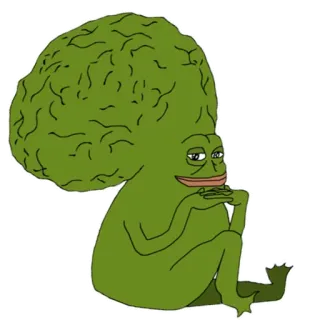 🧠 91ba7c12 Pepe the Frog ミーム, ペペ, カエル, ネットミーム telegram sticker