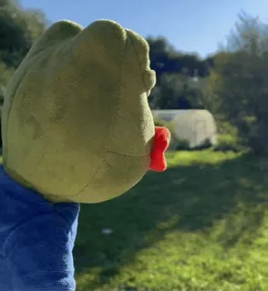 🥰 337ba023 Pepe the Frog Pepe, Frosch, Meme, Plüsch, Draussen, Grün, Spielzeug whatsapp sticker