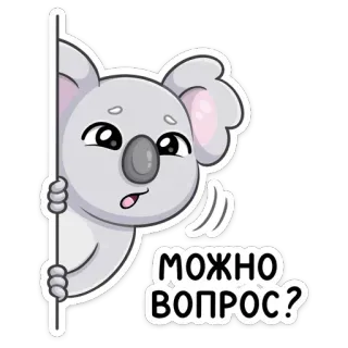 ❓ 02a10b8b МОЖНО ВОПРОС? 考拉, 问题, 可爱, 动物, 卡通, 贴纸 telegram sticker
