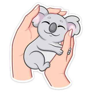 ☺️ a0269933 考拉, 可爱, 动物, 插图, 卡通, 拥抱 telegram sticker