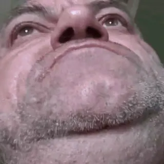 🐸 2b83c9da whatsapp sticker