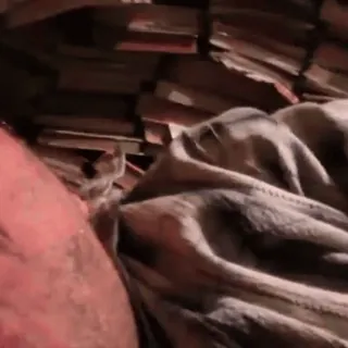 💤 ed3476d6 whatsapp sticker