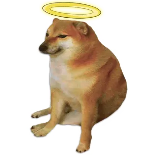 😇 067d23dc Cheems doge, cachorro, meme, Cheems, anjo, halo telegram sticker