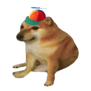 👶 3a2ee2c9 cachorro, Cheems, chapéu de hélice, meme, animal, animal de estimação, engraçado telegram sticker
