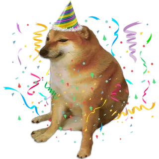 🥳 4a540b03 HBD! cachorro, aniversário, confete, celebração, festa, meme telegram sticker