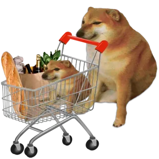 🛒 722d8ed8 cachorro, carrinho de compras, supermercado, cheems, meme, comida telegram sticker