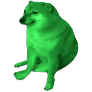 💚 8d2bfd11 cachorro, Cheems, meme, animal, verde telegram sticker