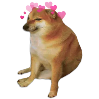 🥰 9b5eee6d Cheems doge, cachorro, meme, fofo, corações, animal telegram sticker