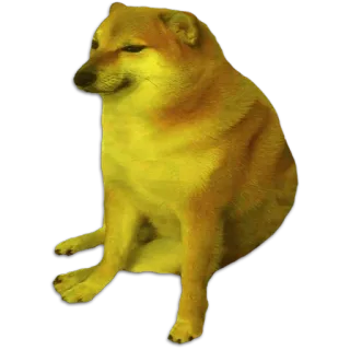 🧀 adf03605 Cheems cachorro, meme, animal, engraçado telegram sticker