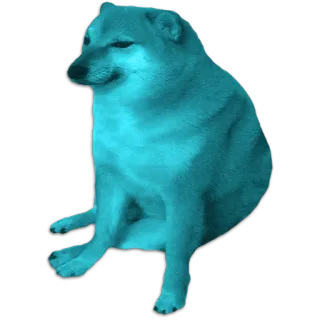 💙 ce0ca1cc Cheems cachorro, meme, Cheems telegram sticker