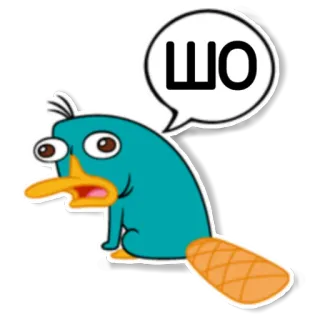 😦 cb1df908 Perry the Platypus Phineas and Ferb ШО ornithorynque, dessin animé, agent p, disney, drôle whatsapp sticker