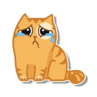 😭 229856db 고양이, 슬픈, 우는, 동물, 주황색 telegram sticker