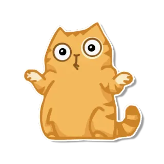 🤷‍♀️ 4a786296 고양이, 귀여운, 사랑스러운, 웃긴, 새끼 고양이, 애완 동물, 동물 telegram sticker