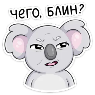 ❓ 0fa54e0d Чего, блин? koala, pregunta, ruso, animal, dibujos animados, pegatina whatsapp sticker