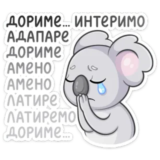😢 3e45efbf ДОРИМЕ... ИНТЕРИМО АДАПАРЕ ДОРИМЕ АМЕНО АМЕНО ЛАТИРЕ ЛАТИРЕМО ДОРИМЕ... koala, triste, llorando, suplicante, lindo, animal whatsapp sticker