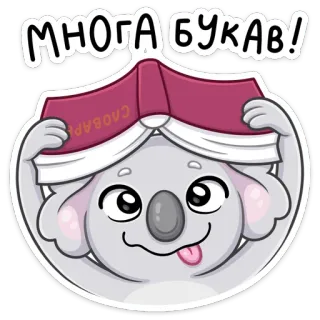 🤪 e3b1e847 МНОГА БУКАВ! koala, libro, leyendo, gracioso, dibujos animados, pegatina whatsapp sticker