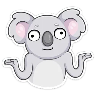 🤷‍♂️ e7bee53e koala, animal, lindo, dibujo animado, cuestionando, encogiéndose de hombros, indeciso whatsapp sticker