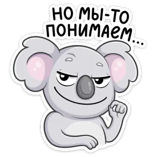 😊 fd5cf65f НО МЫ-ТО ПОНИМАЕМ... koala, presumido, sabihondo, dibujos animados, animal, mono, expresión whatsapp sticker