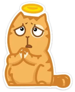 😇 229058bc 猫, 動物, 可愛い, ステッカー, 天使の輪, オレンジ telegram sticker
