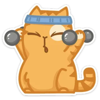 💪 ae3ff955 猫, 運動, ウェイトリフティング, フィットネス, ワークアウト, ダンベル, オレンジ猫, 動物 telegram sticker