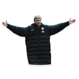 🤷‍♂ a4b0eea4 Arsène Wenger soccer, manager, football, sport, arsenal telegram sticker