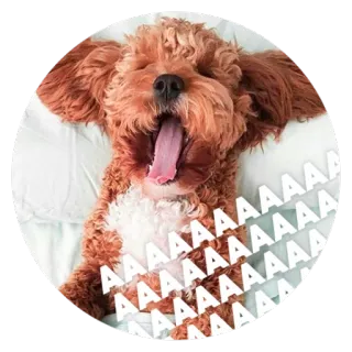 😴 3cdd2554 AAAAAAA собака, зевающий, животное, домашнее животное, милый, сон, щенок telegram sticker