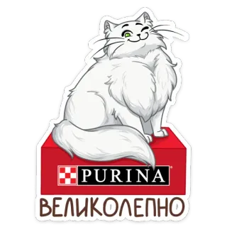 Питомцы :: @stickroom telegram stickers