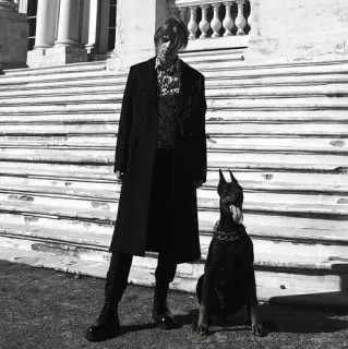 🐶 37cf5c52 whatsapp sticker