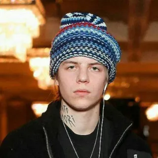 🐨 d5548608 whatsapp sticker