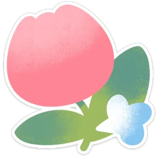 💨 0edde2e6 fiore, floreale, pianta, fioritura, natura, rosa, petalo, botanico telegram sticker