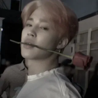 🧳 276754cd roos, bloem, persoon, portret, binnen, onscherp whatsapp sticker