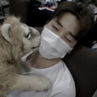 🧳 b9b8fb15 man, masker, pop, leeuw, knuffel, binnen whatsapp sticker