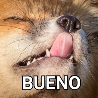 😻 75d94b68 BUENO vos, grappig, dier, goed, schattig telegram sticker