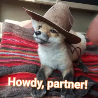 🤠 d7331ec9 Howdy, partner! vos, cowboy, hoed, dier, hallo, partner, schattig, western telegram sticker