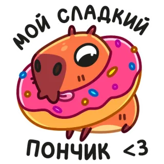 🍩 0aede809 МОЙ СЛАДКИЙ ПОНЧИК <3 Kapibara, Pączek, Słodki, Uroczy, Zwierzę telegram sticker