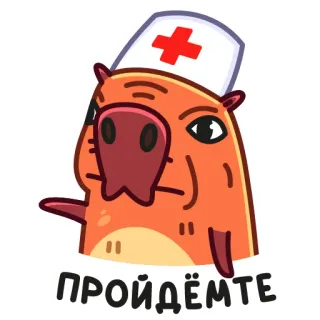 🧑‍⚕️ 0b18978a ПРОЙДЁМТЕ Kapibara, Lekarz, Pielęgniarka, Medyczny, Kreskówka, Naklejka, Rosyjski telegram sticker