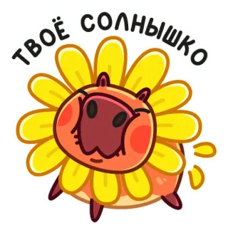 ☀️ 0fa2d162 ТВОЁ СОЛНЫШКО słonecznik, słodki, kapibara, zwierzę, kreskówka, radosny telegram sticker