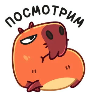 👀 5160157e посмотрим Kapibara, Zwierzę, Urocze, Naklejka, Meme telegram sticker