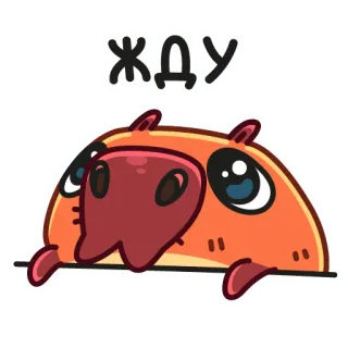 ⏳ b1d27924 ЖДУ kapibara, czekanie, słodkie zwierzę, zwierzę z kreskówki, naklejka telegram sticker