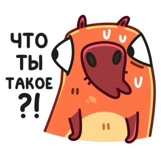 😳 d01bc051 ЧТО ТЫ ТАКОЕ?! kreskówka, zwierzę, pytanie, wykrzyknik telegram sticker
