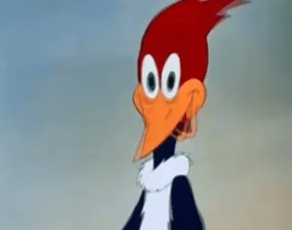 Pica-Pau by: @Scavin0 telegram stickers