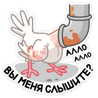 🤙 056e8c84 Алло, алло. Вы меня слышите? 鸡, 管子, 动物, 说话, 沟通, 俚语 telegram sticker