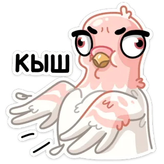 😠 a3bbf9c2 КЫШ 鸟, 鸽子, 卡通, 动画, 文本, 俄语 telegram sticker