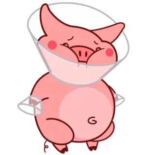 Pig Valera @Pig_and_friends / @Mari_Deinos whatsapp stickers