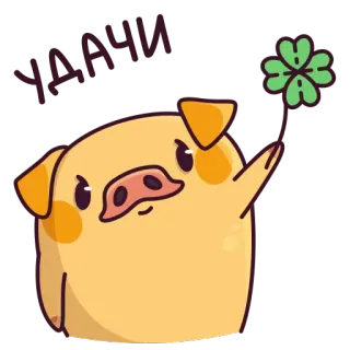🍀 88d099c4 УДАЧИ maiale, fortuna, trifoglio, cartone animato, carino, buona fortuna, adesivo telegram sticker