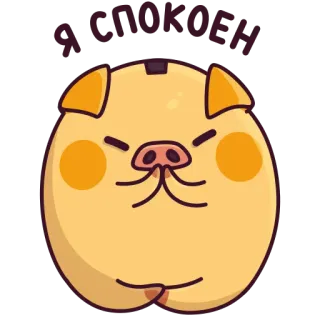 🧘‍♂️ d253bcd8 Я СПОКОЕН maiale, calmo, rilassato, animale, carino, adesivo, cartone animato telegram sticker