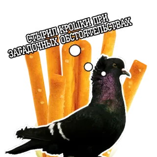👽 25965636 СТЫРИЛ КРОШКИ ПРИ ЗАГАДОЧНЫХ ОБСТОЯТЕЛЬСТВАХ merpati, burung, binatang, camilan, rusia, kartun telegram sticker
