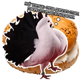 👩 3cfe1c2d МОЕ "КУРЛЫК" ОЧЕНЬ ДОРОГОГО СТОИТ, ГОВОРЮ ЭТО РЕДКО И МАЛО КОМУ. merpati, bagel, burung, hewan telegram sticker