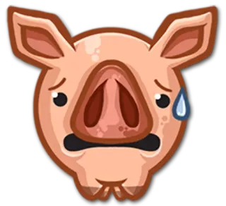 😥 b1265c15 猪, 汗滴, 动物, 卡通, 表情, 担心 whatsapp sticker